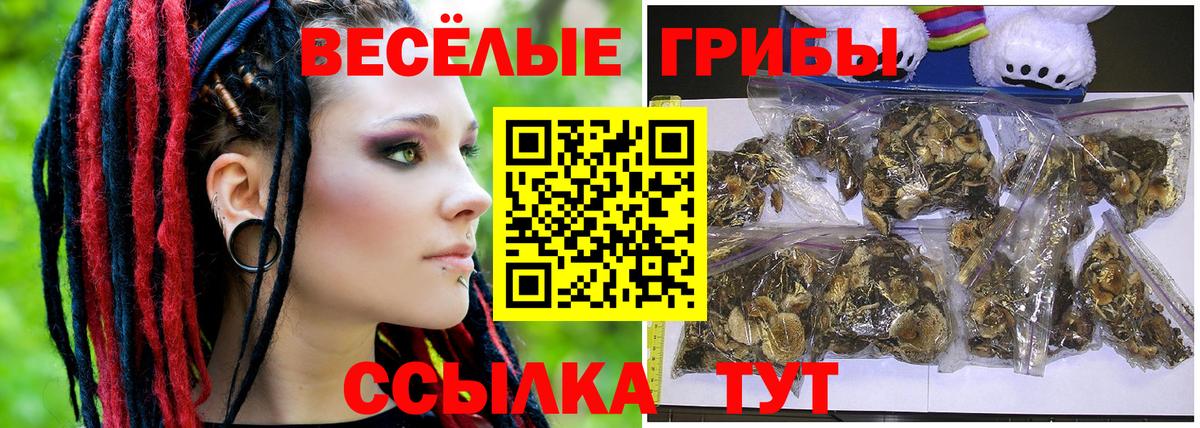 Кимовск  что такое   Вход с VPN  Галлюциногенные грибы GOLDEN TEACHER 